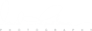David Fiscaleanu - logo